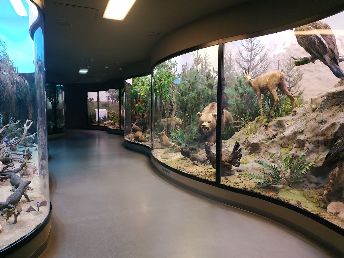 Muzeul de Istorie Naturală - foto 3