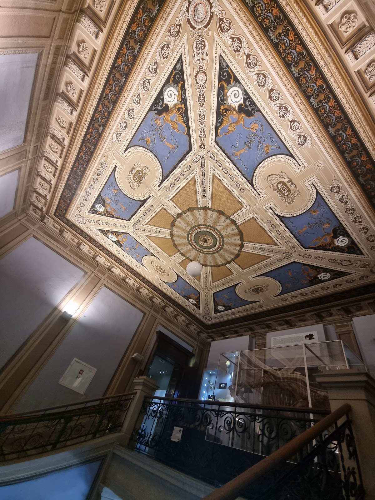 Muzeul de Istorie Naturală - foto 4