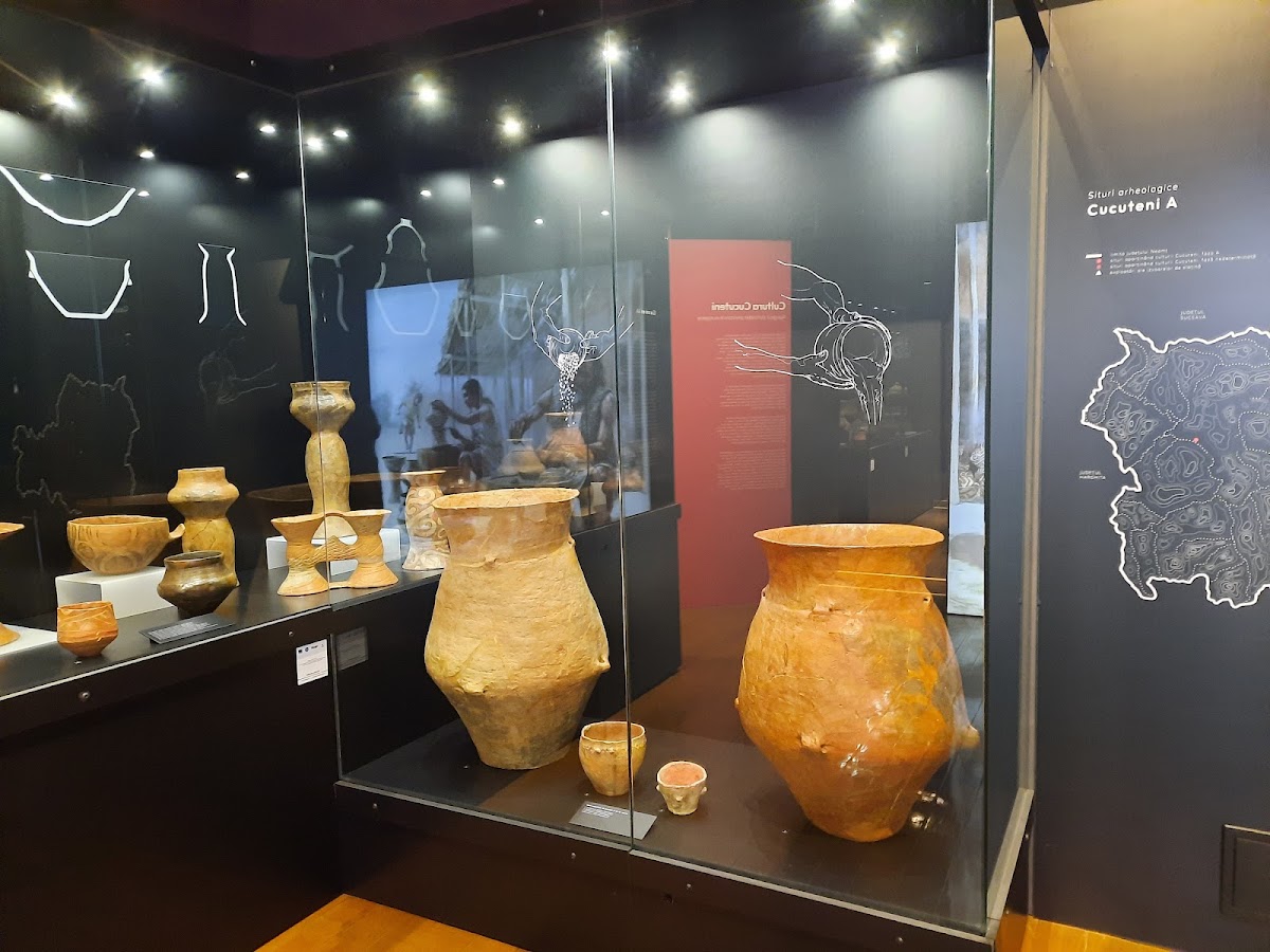 Muzeul de Istorie şi Arheologie - foto 3