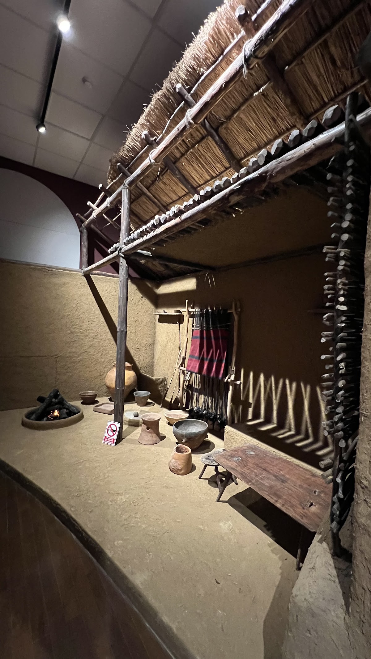 Muzeul de Istorie şi Arheologie - foto 4