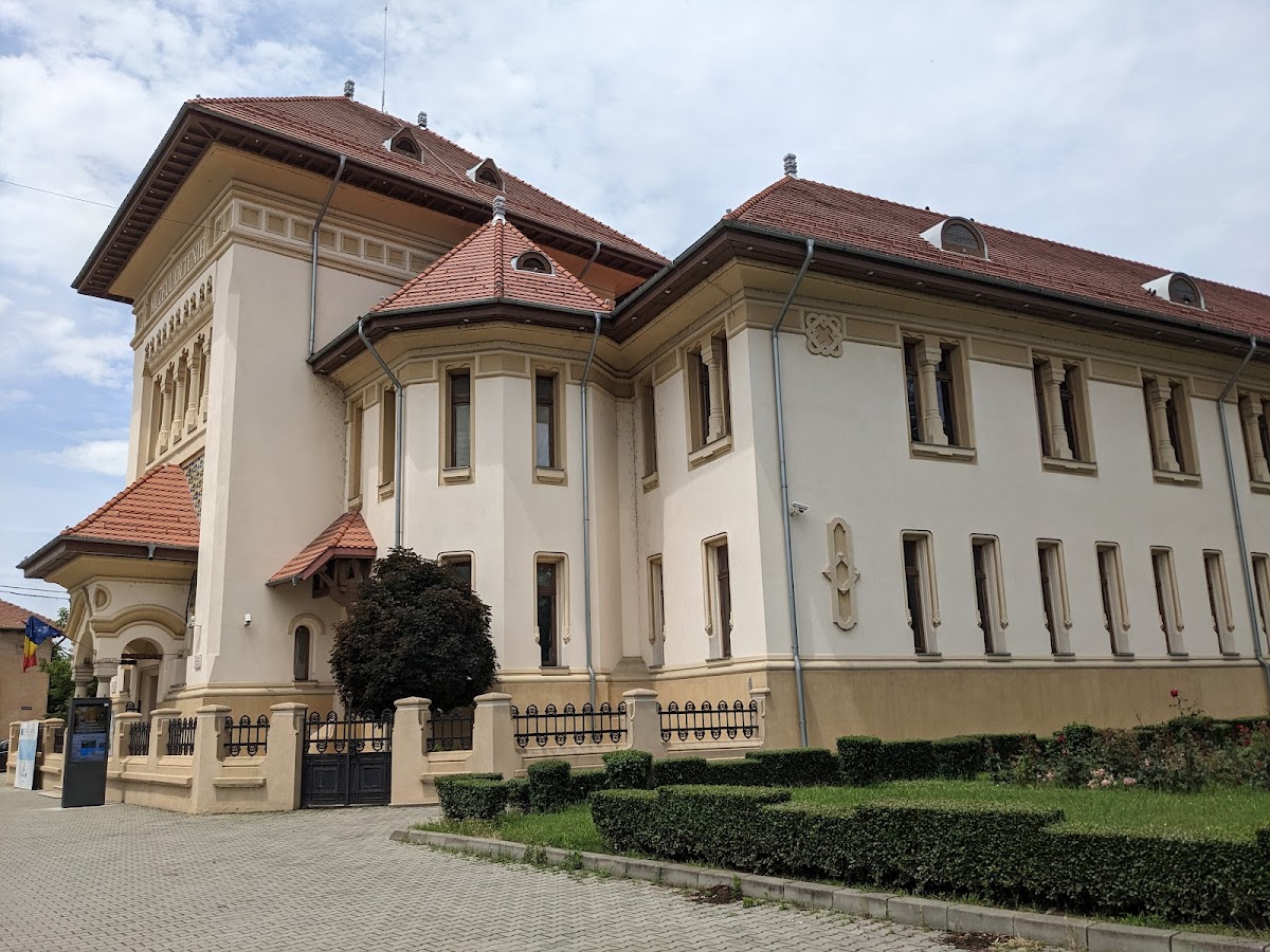 Muzeul de Istorie și Arheologie al Olteniei - foto 2