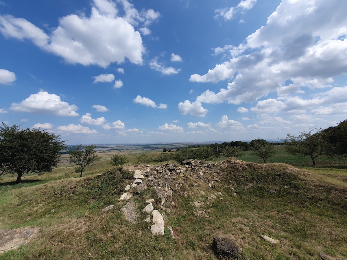 Muzeul de Istorie si Arheologie Cucuteni - foto 3
