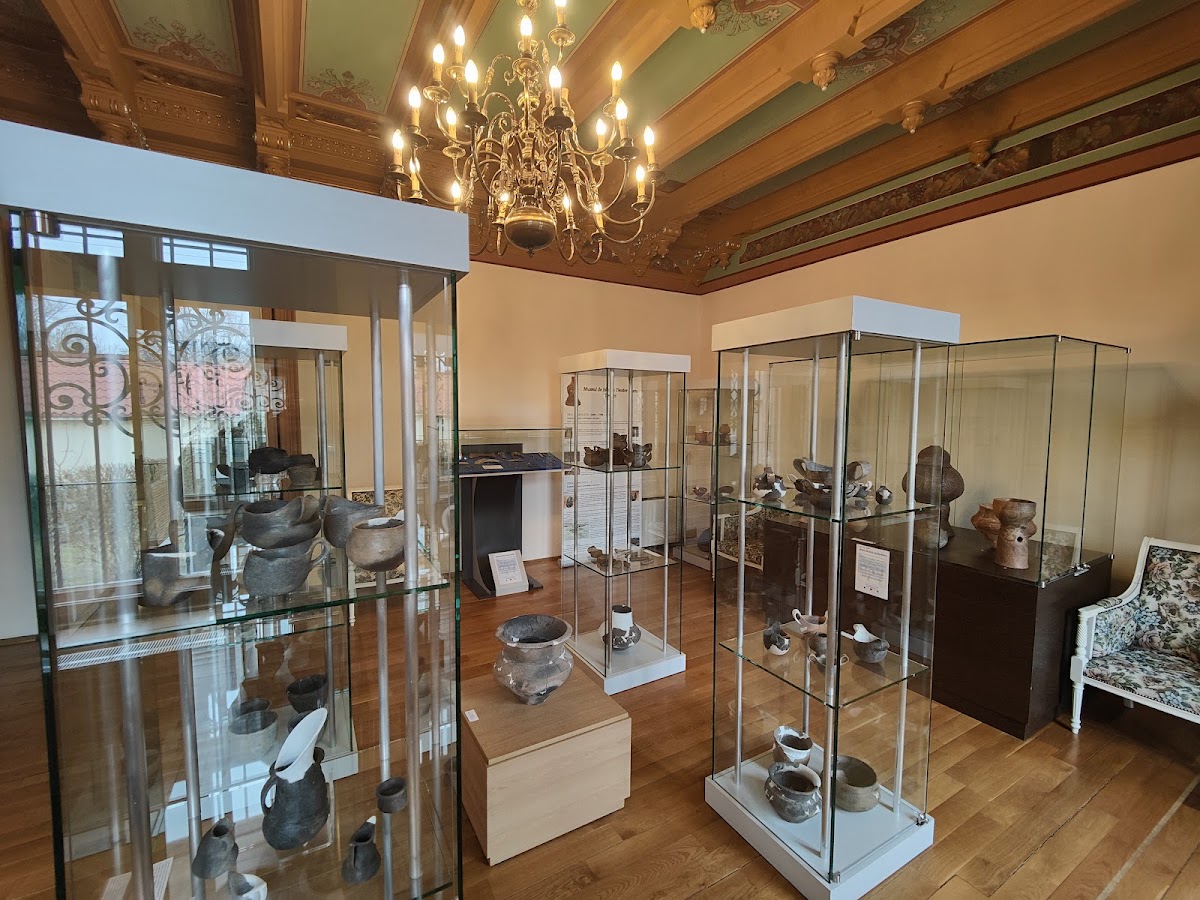 Muzeul de Istorie Teodor Cincu - foto 4