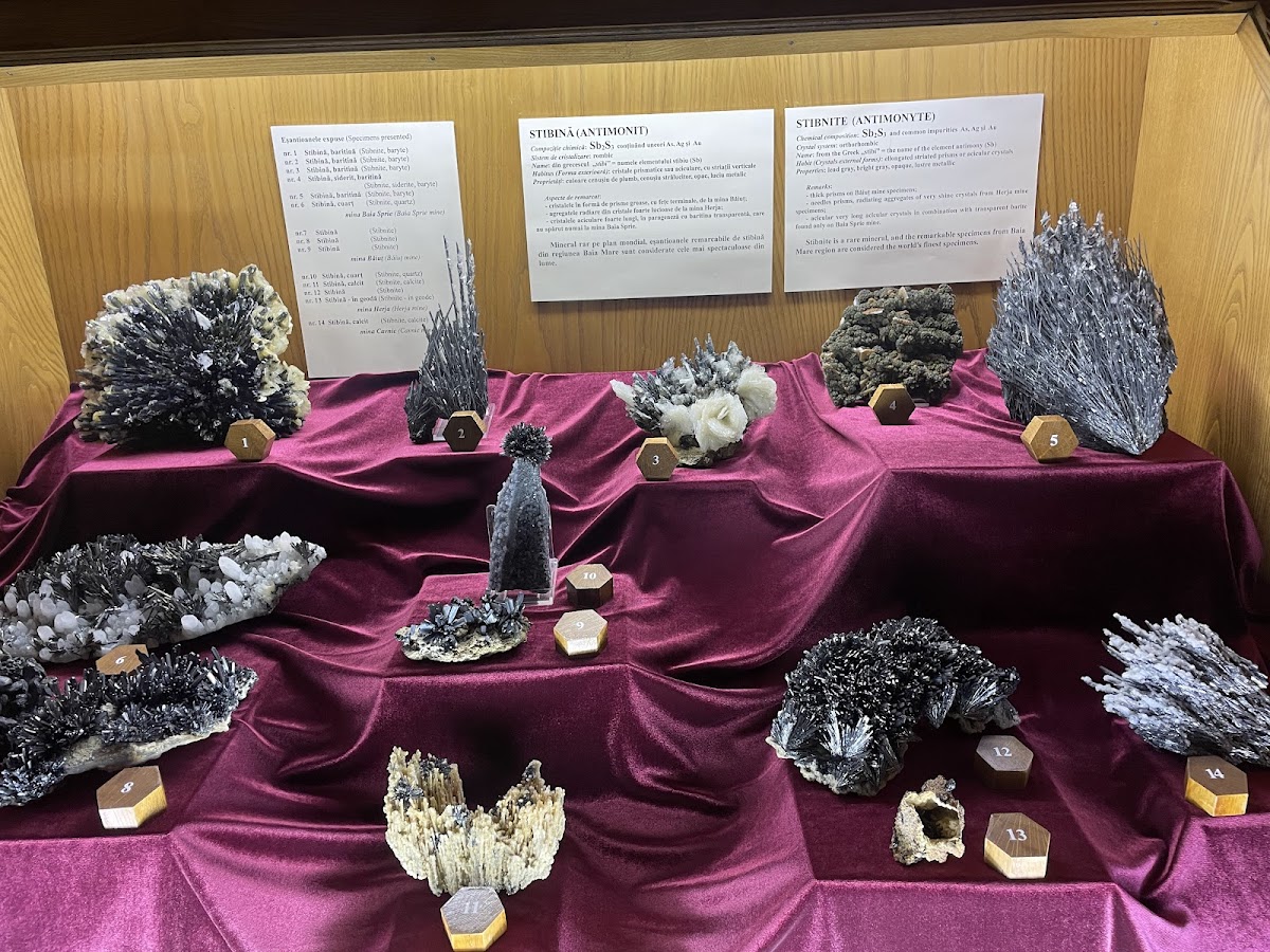 Mineralogy Museum - foto 4