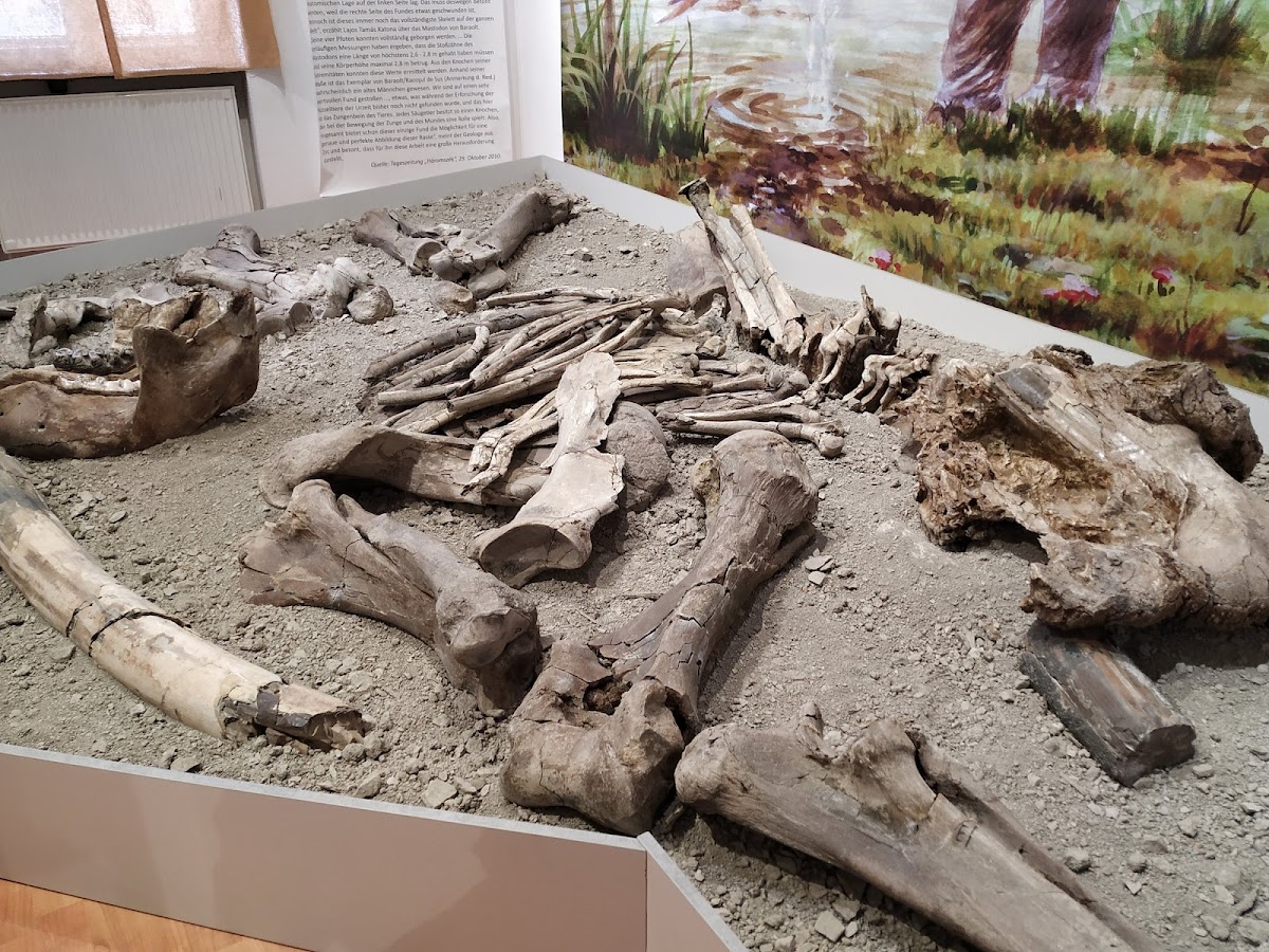 Musée de la Dépression de Baraolt - foto 1