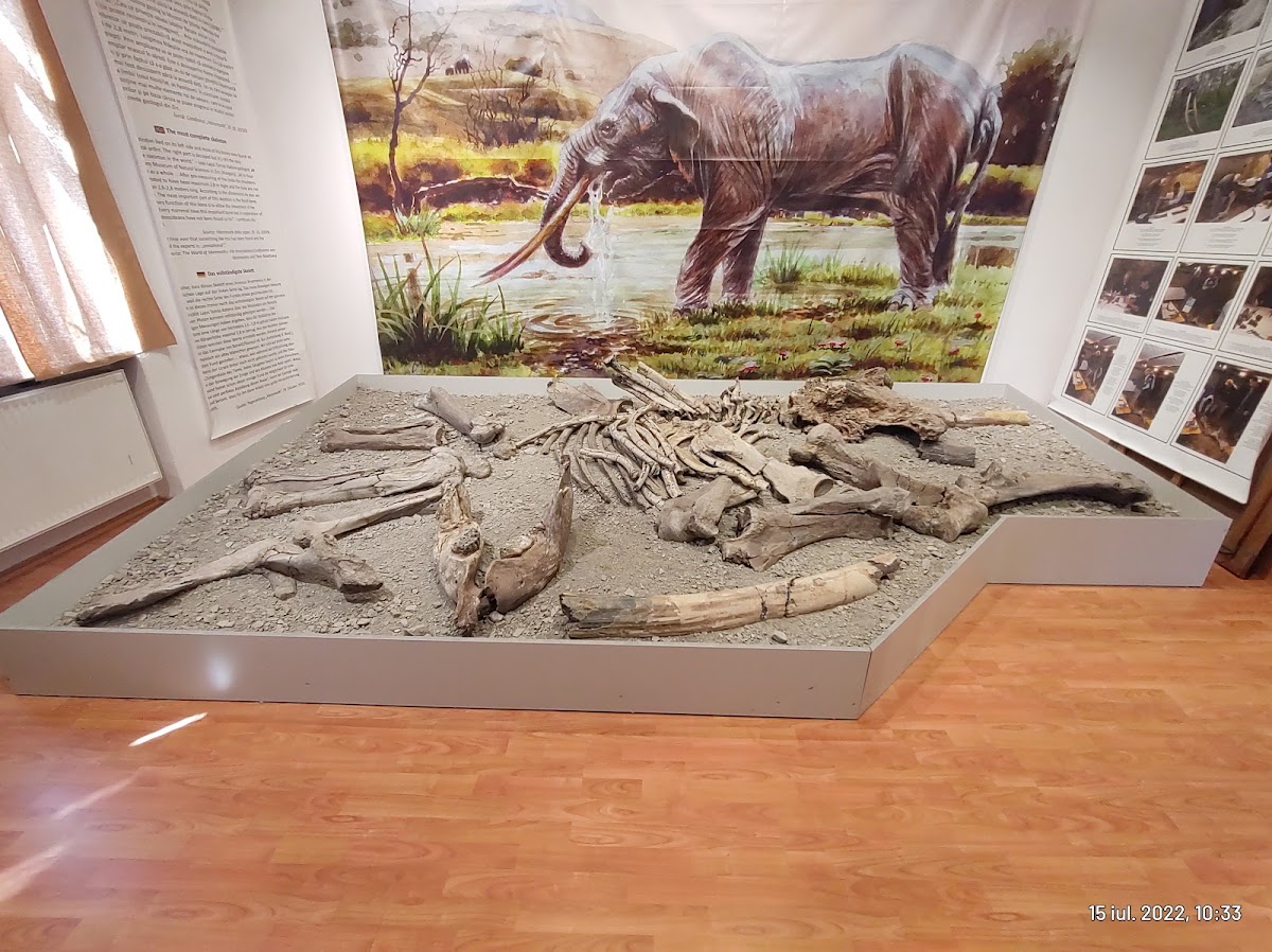 Musée de la Dépression de Baraolt - foto 2