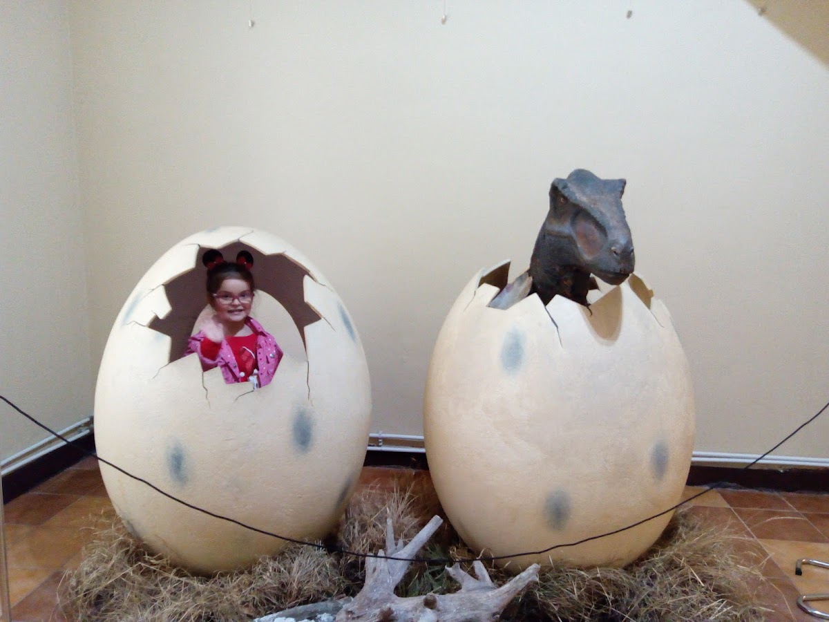 Muzeul Dunării de jos - foto 2