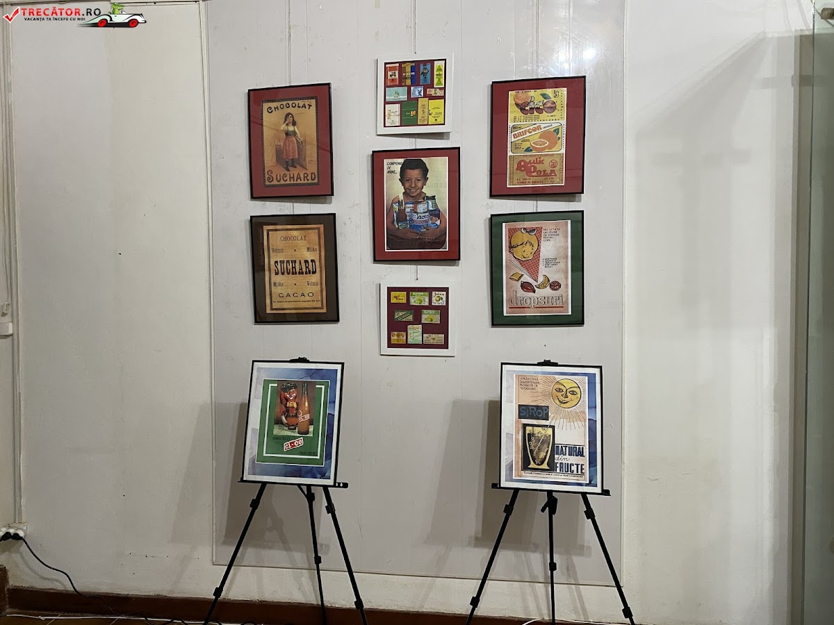 Muzeul Dunării de jos - foto 3