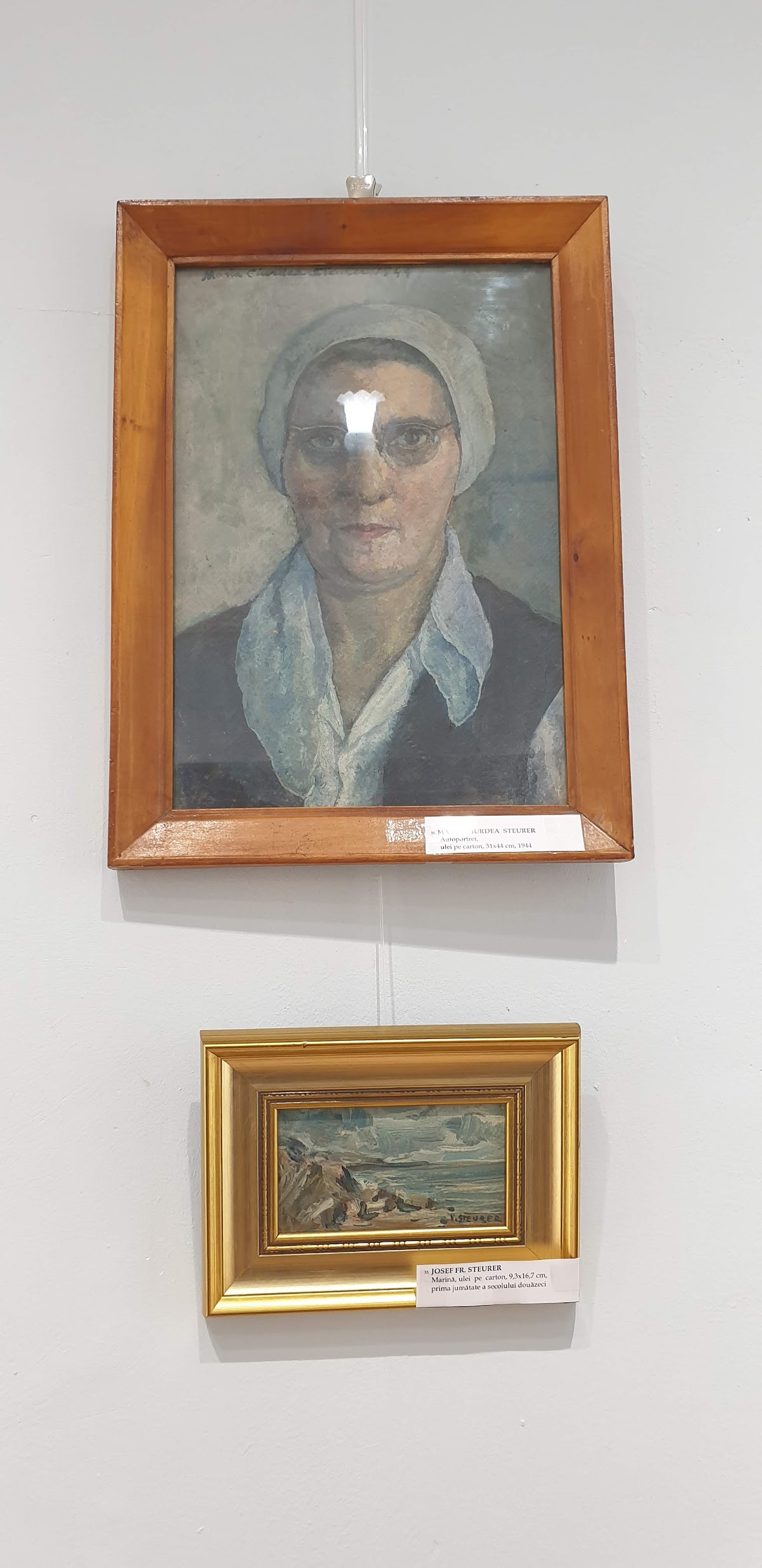 Muzeul Dunării de jos - foto 5