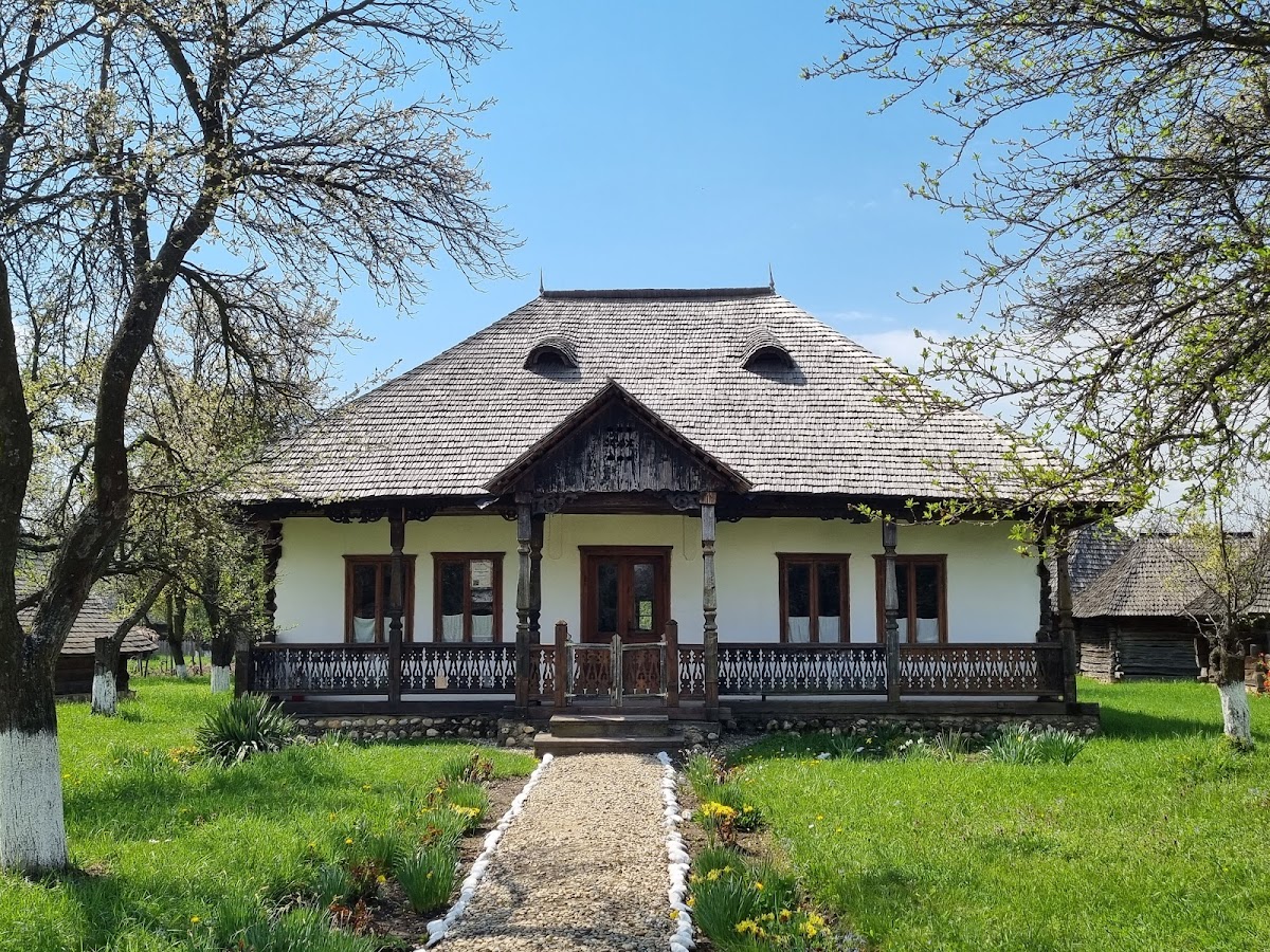 Muzeul Golești - foto 3