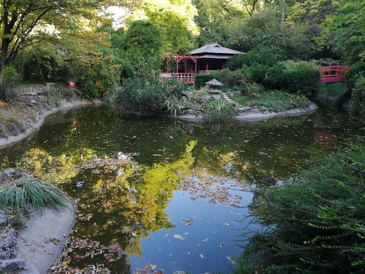 Museo del Jardín Botánico - foto 2