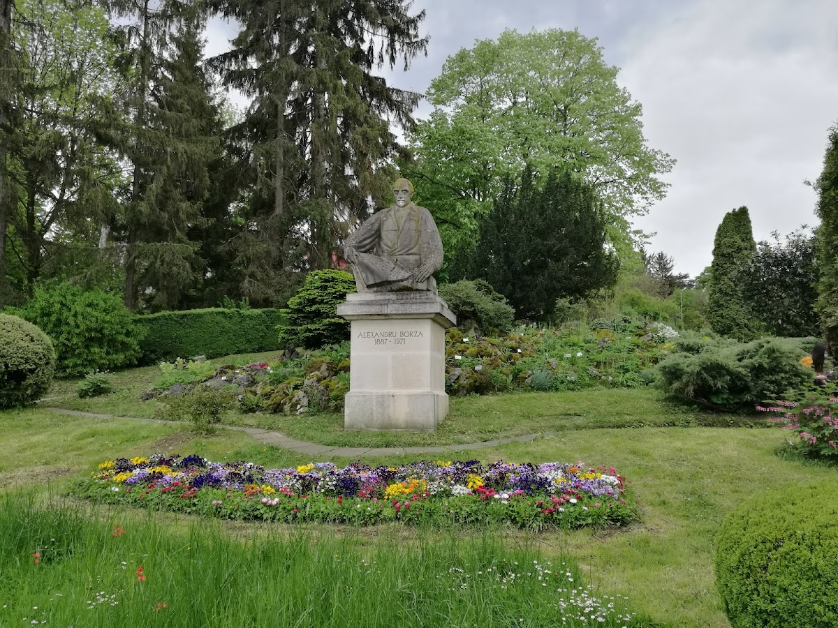Museo del Jardín Botánico - foto 3