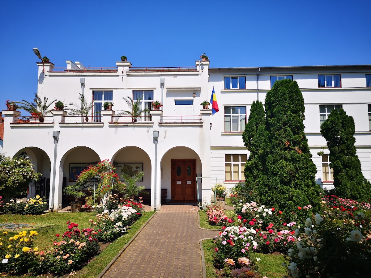 Museo del Jardín Botánico - foto 4