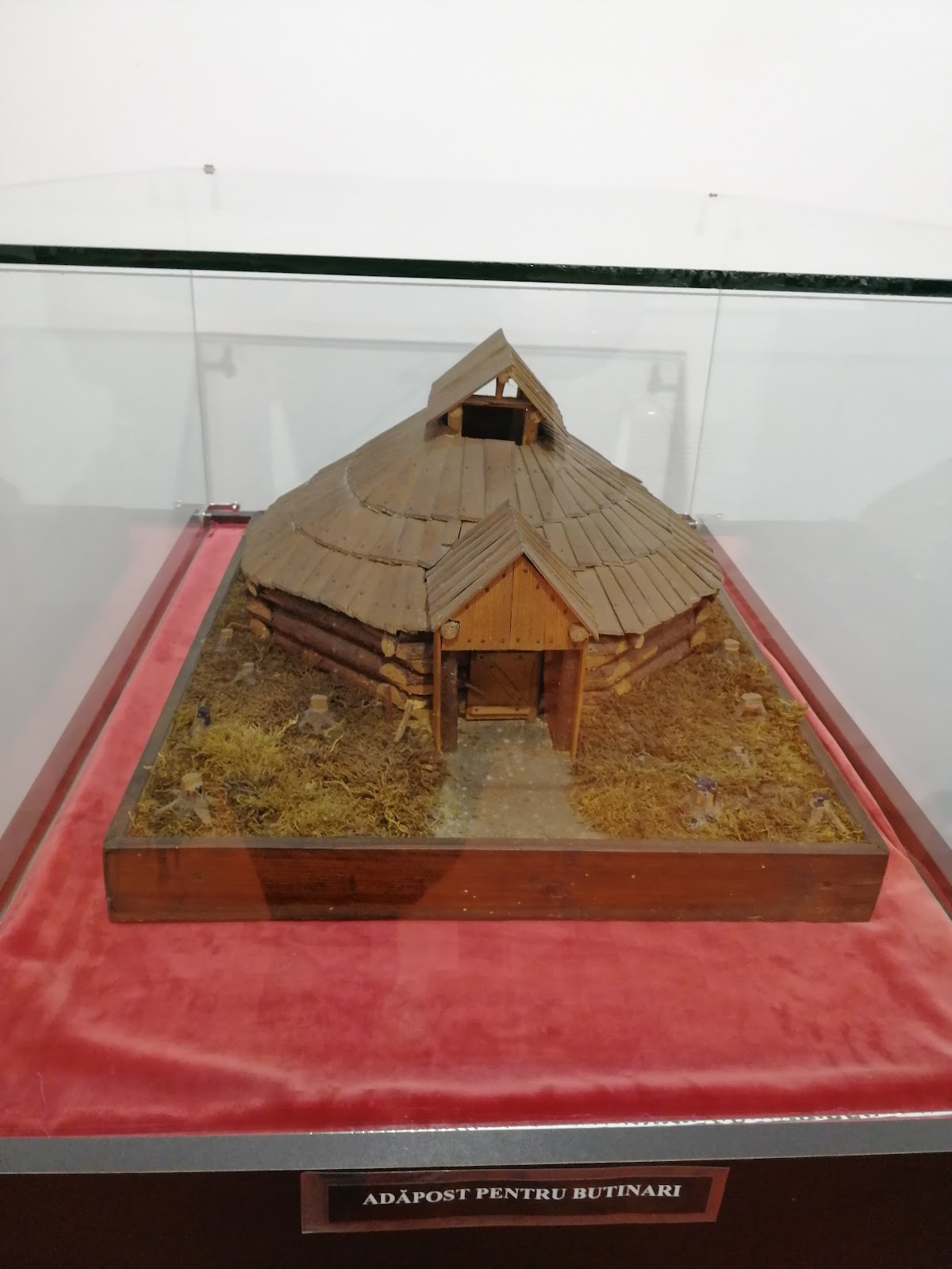 Musée de la Garde Frontalière de Năsăud - foto 5