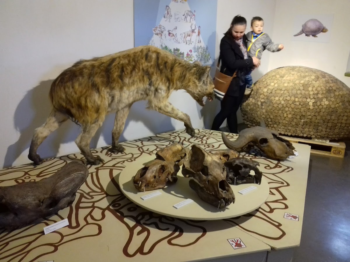 Haáz Rezső Múzeum - foto 3