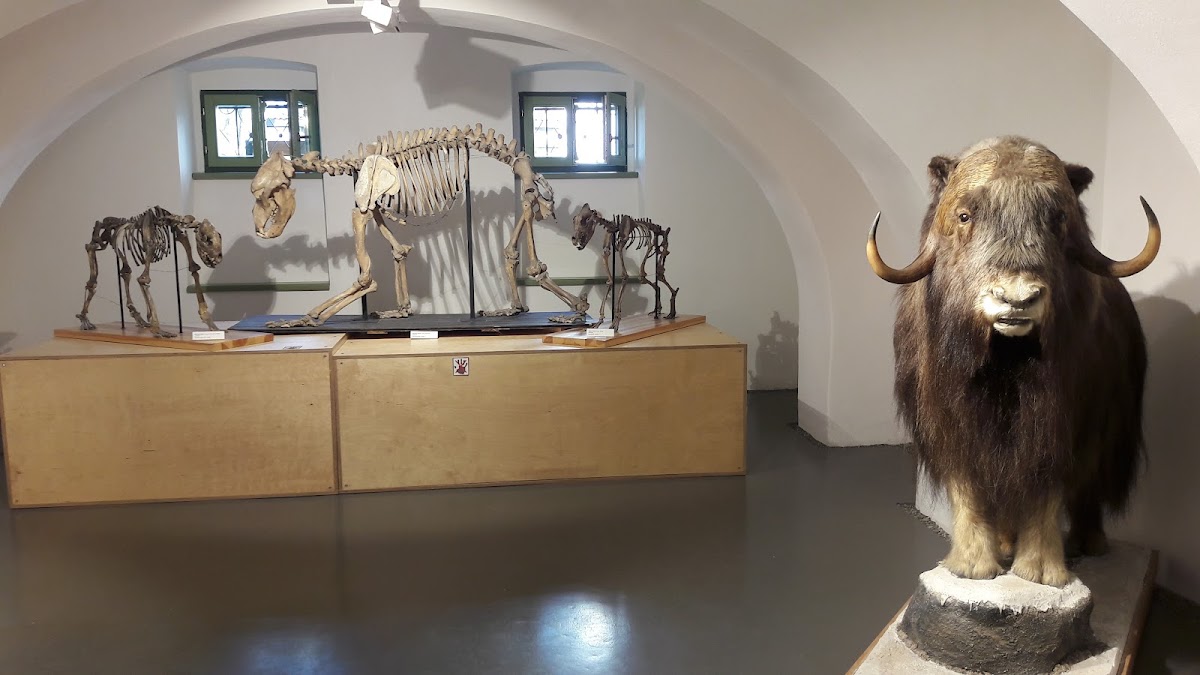 Haáz Rezső Múzeum - foto 4