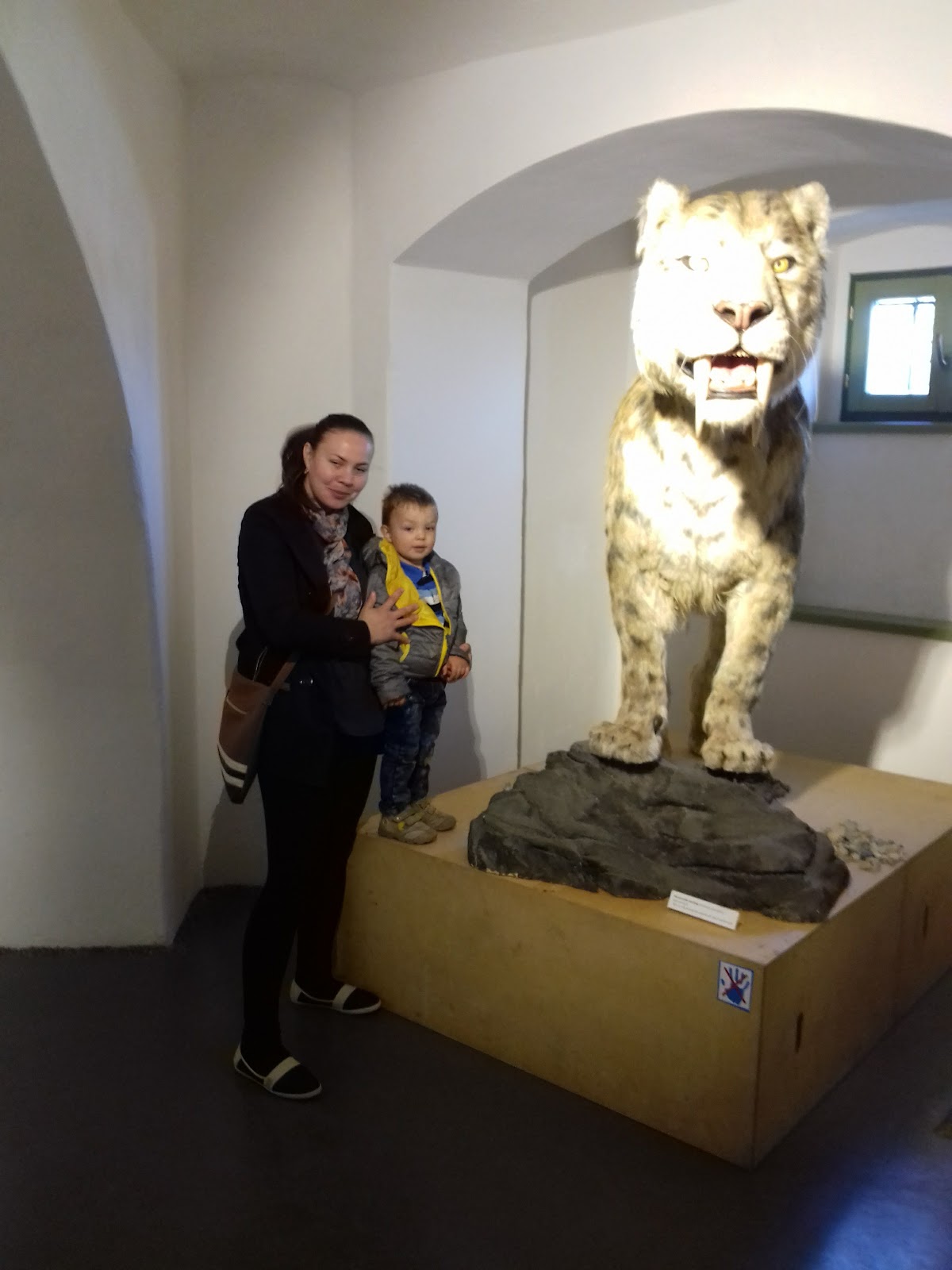 Haáz Rezső Múzeum - foto 5