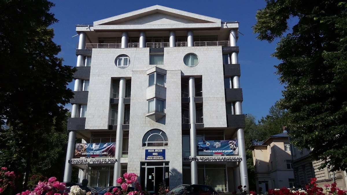 Muzeul Județean - foto 1