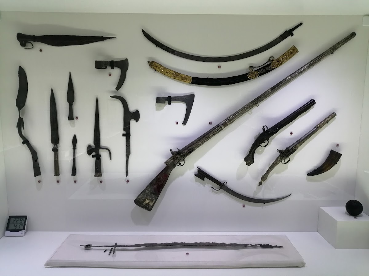 Muzeul Judeţean Buzău - foto 5