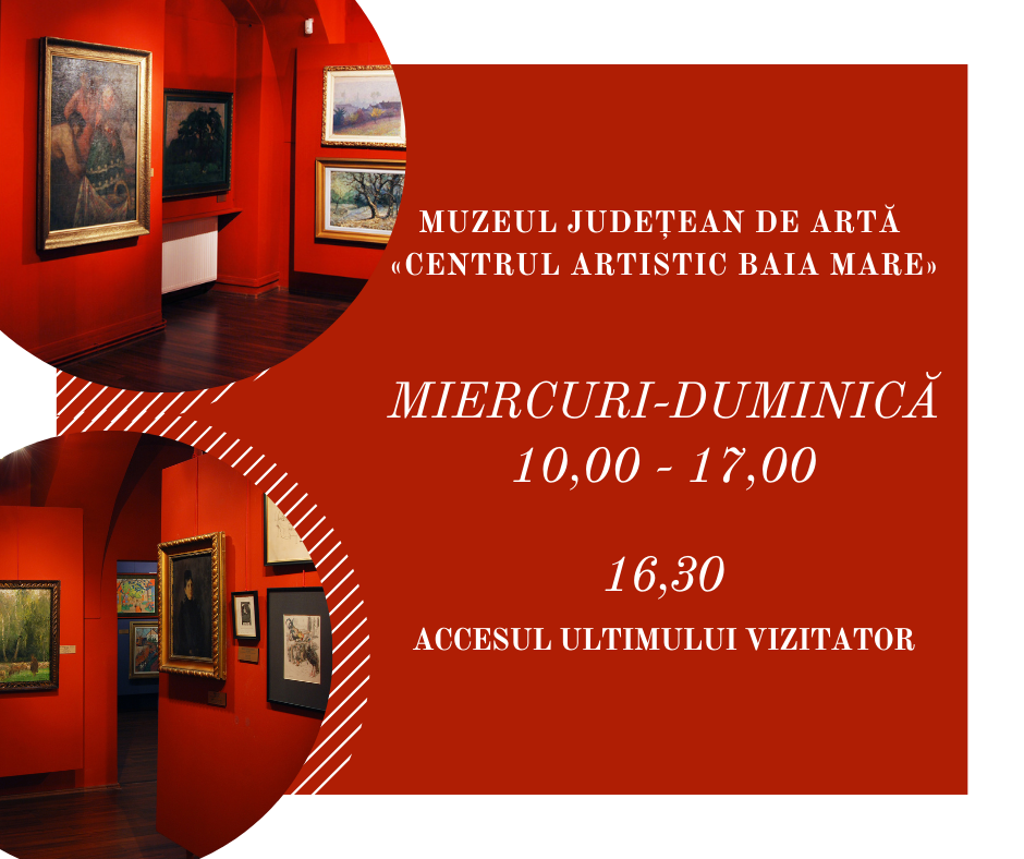 巴亚马雷县艺术博物馆«艺术中心» - foto 1