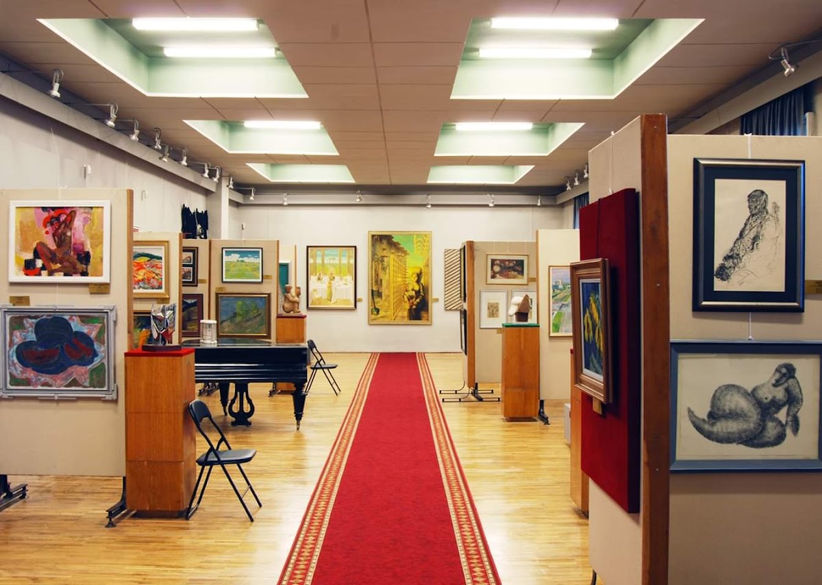 巴亚马雷县艺术博物馆«艺术中心» - foto 5