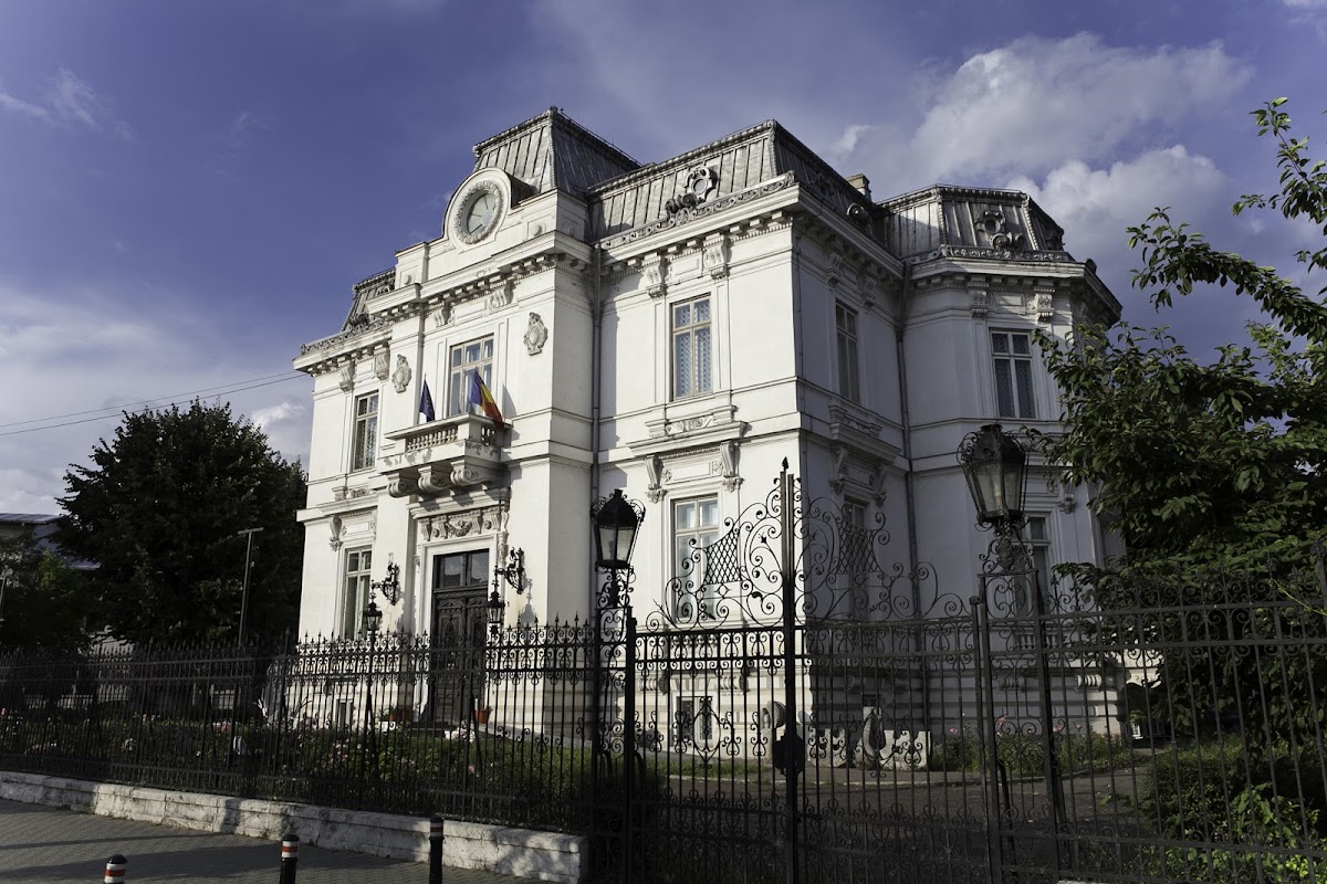 Ion Ionescu-Quintus County Art Museum - foto 1