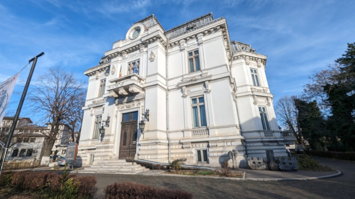 Ion Ionescu-Quintus County Art Museum - foto 2