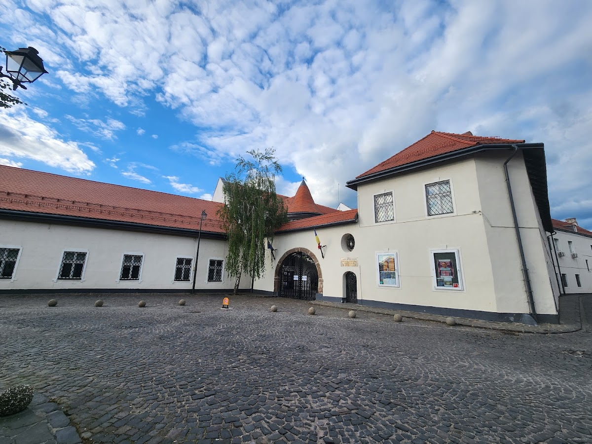 Muzeul Județean de Istorie și Arheologie Maramureș - foto 2
