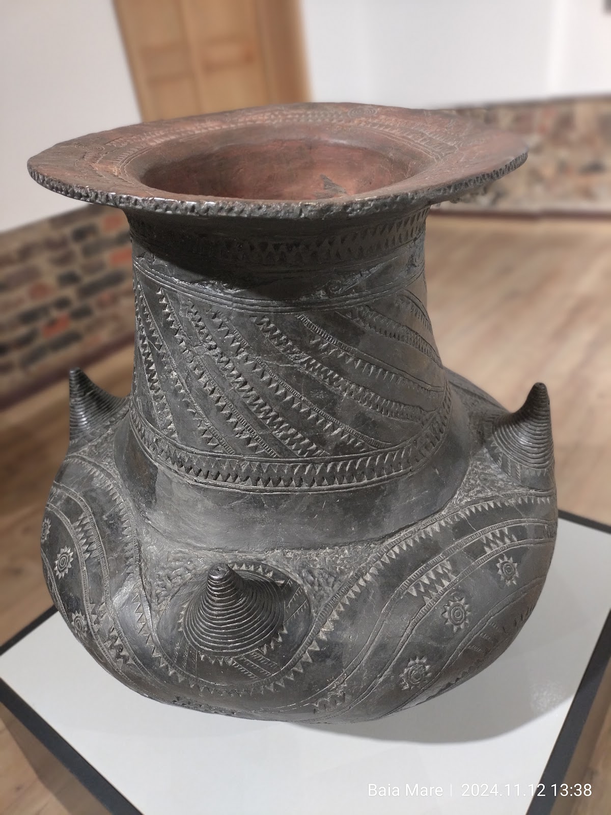 Muzeul Județean de Istorie și Arheologie Maramureș - foto 3