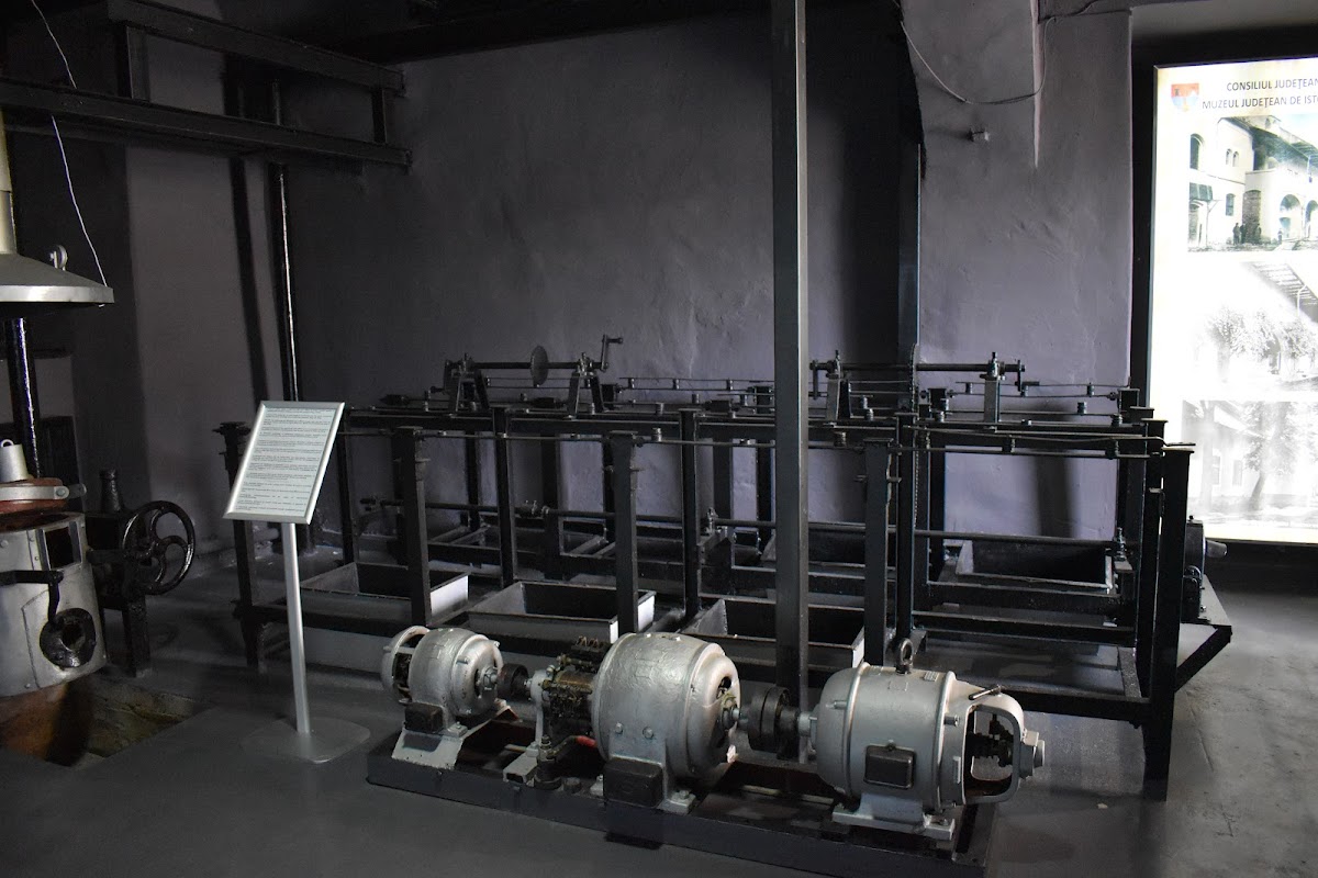 Muzeul Județean de Istorie și Arheologie Maramureș - foto 4