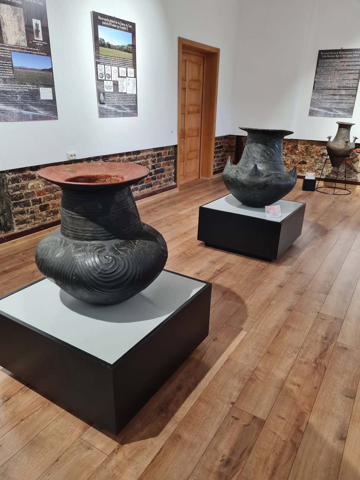 Muzeul Județean de Istorie și Arheologie Maramureș - foto 5