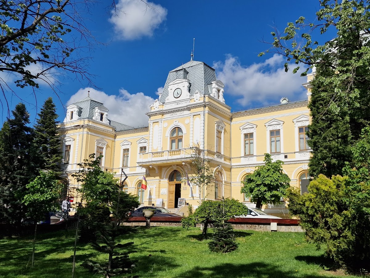 Olt County Museum - foto 1