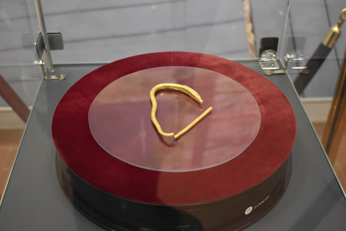 Olt County Museum - foto 4