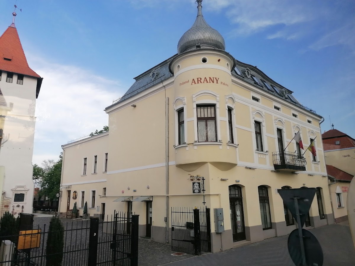 Muzeul Memorial Arany János - foto 3