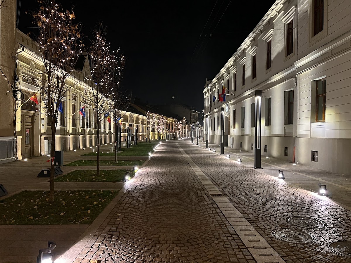 Muzeul Memorial Aurel Lazăr - foto 4