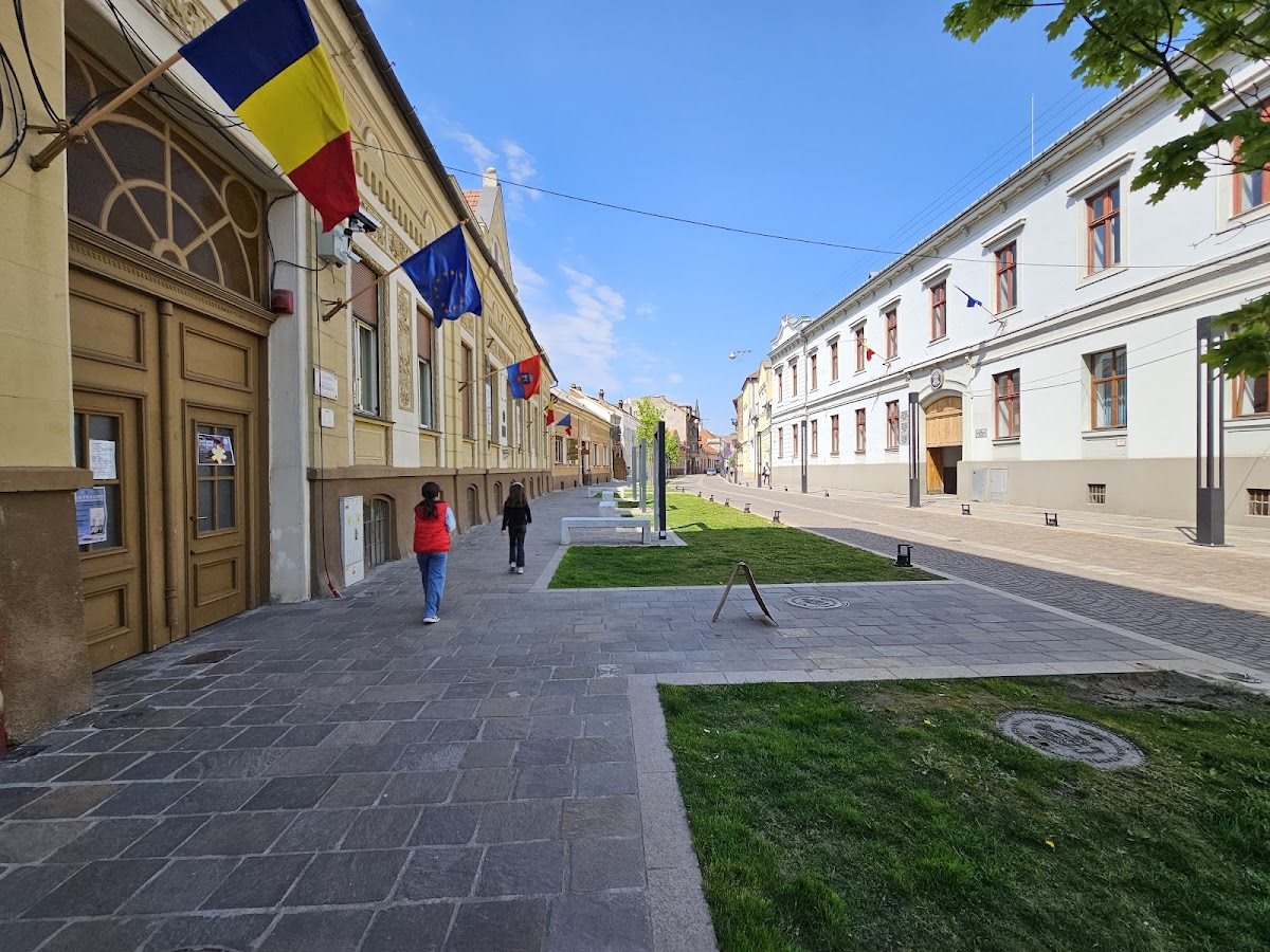 Muzeul Memorial Aurel Lazăr - foto 5