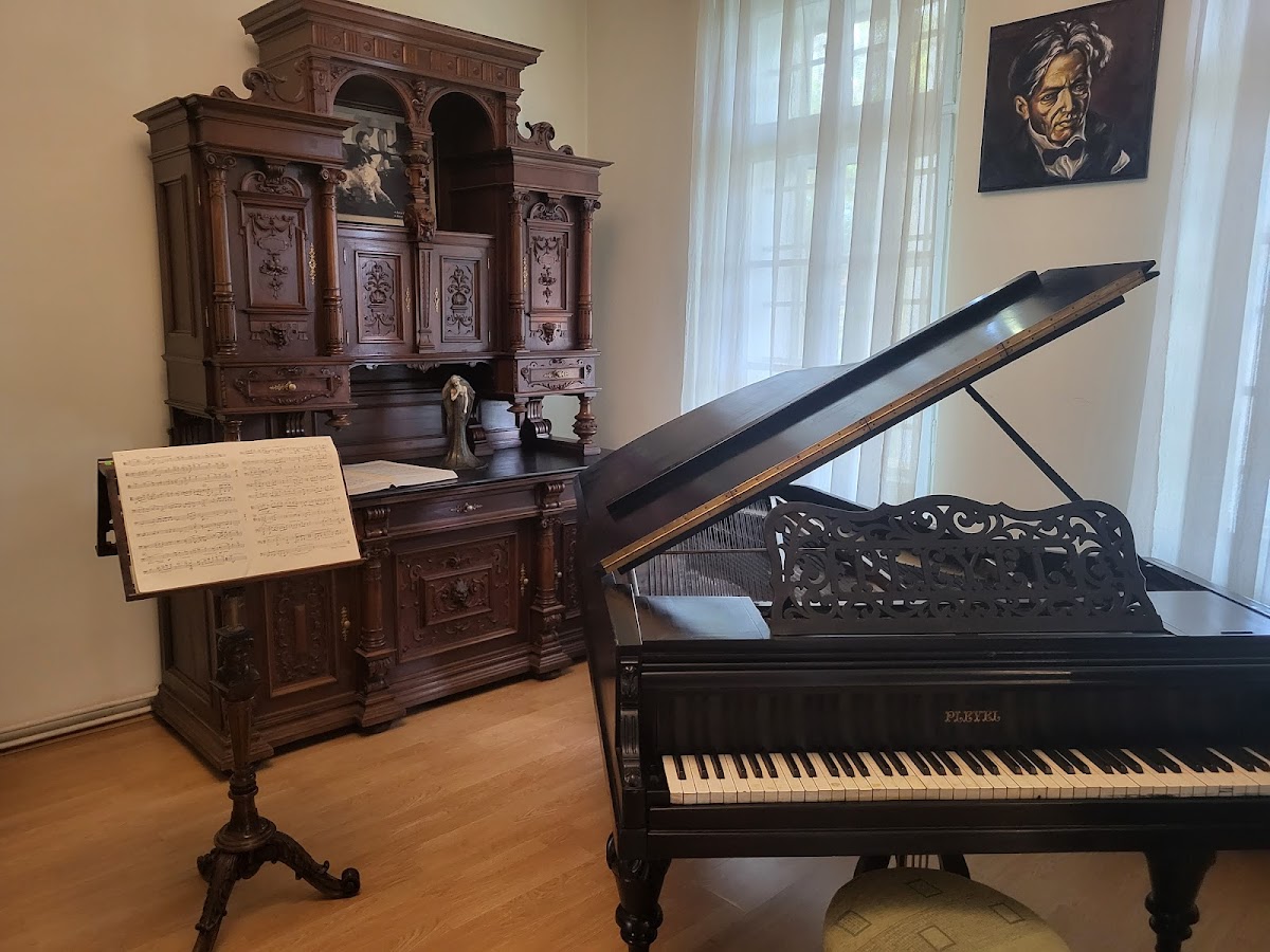 Muzeul Memorial „George Enescu” din Dorohoi - foto 2