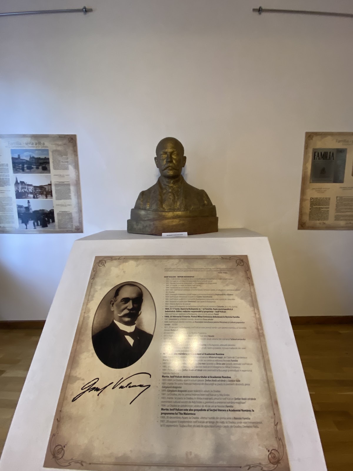 Muzeul Memorial Iosif Vulcan - foto 4