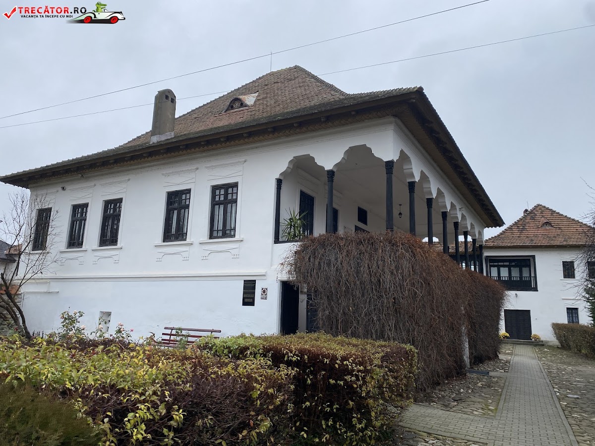 尼古拉·约尔加纪念博物馆 - foto 2