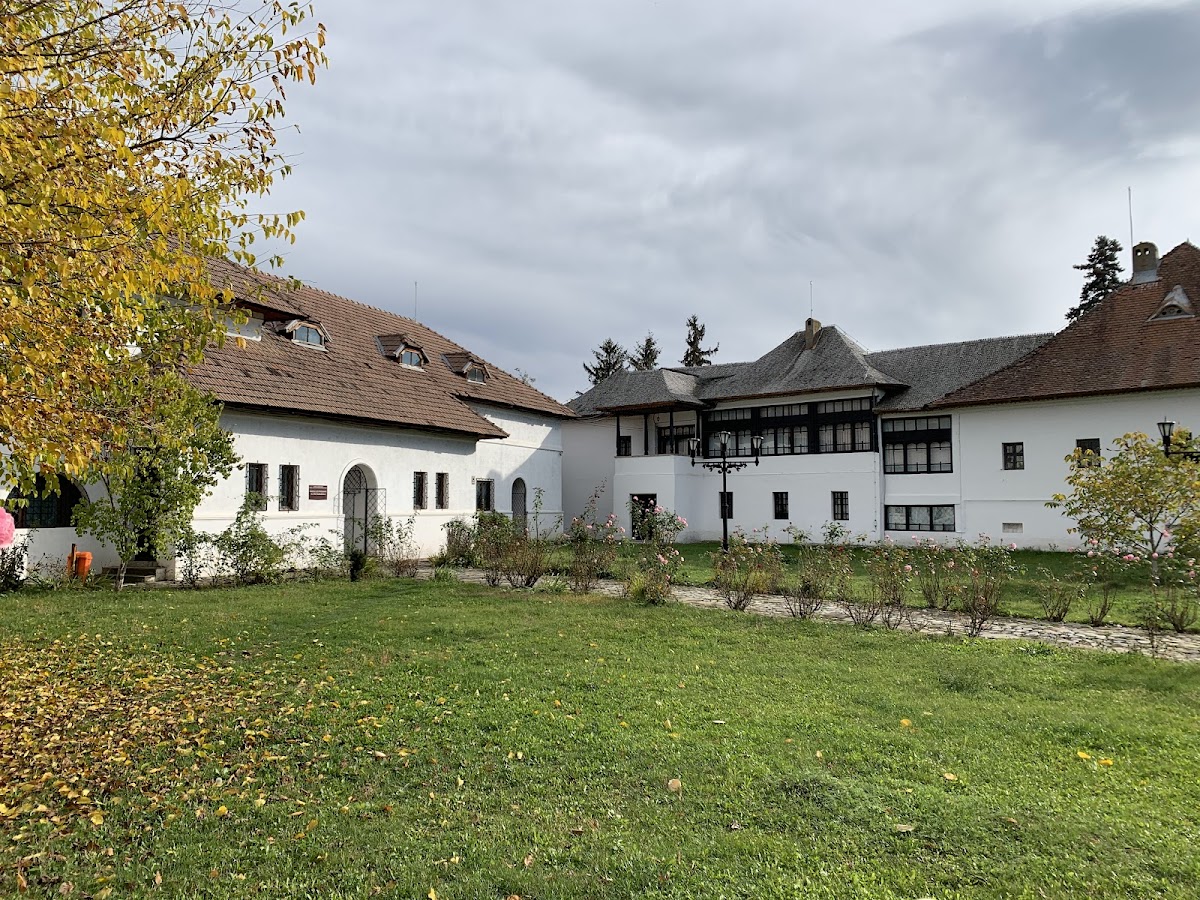 尼古拉·约尔加纪念博物馆 - foto 3