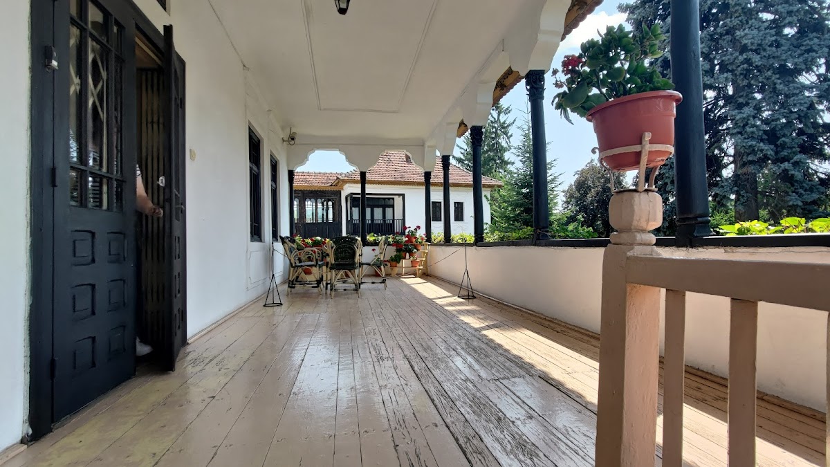 尼古拉·约尔加纪念博物馆 - foto 5