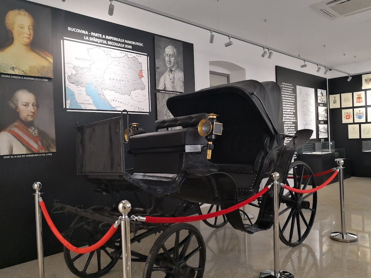 Muzeul Național al Bucovinei - foto 5