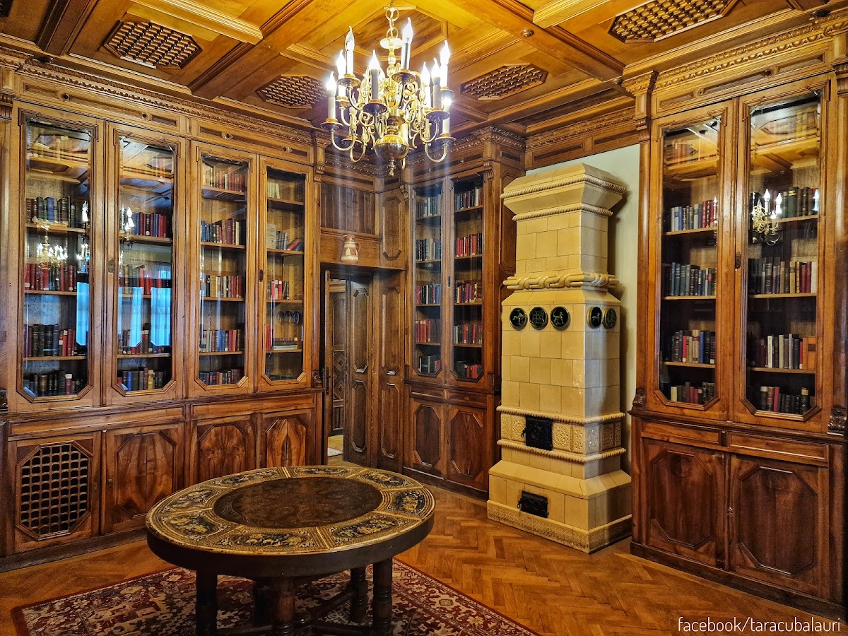 布拉蒂亚努国家博物馆 - 弗洛里卡别墅 - foto 5