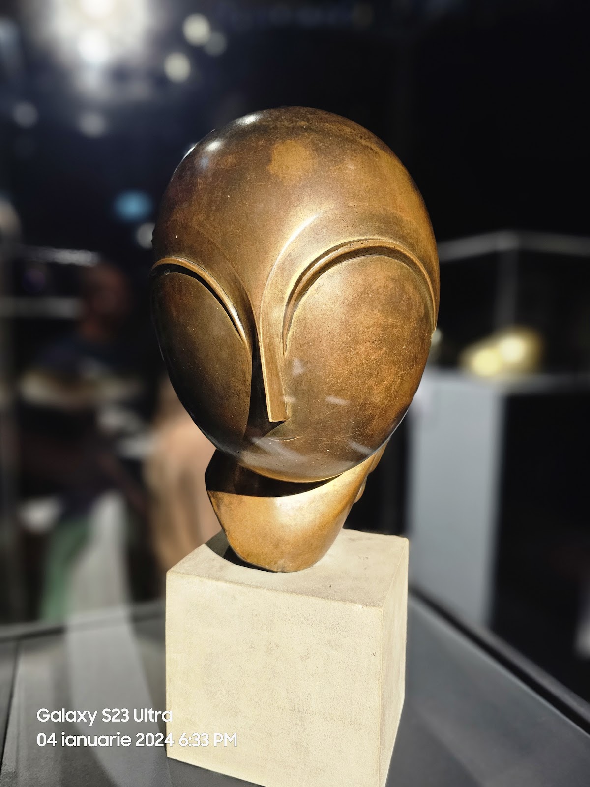 Muzeul Național de Artă din Timișoara - foto 5