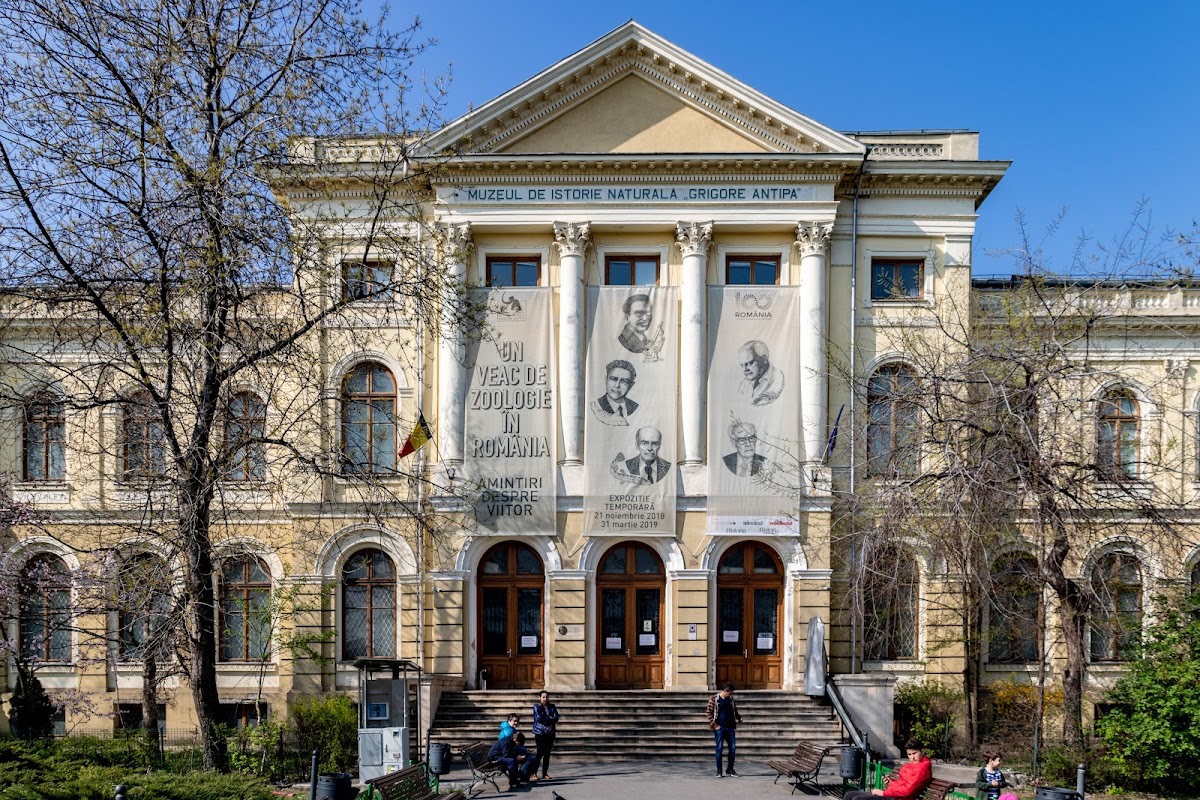 Museo Nazionale di Storia Naturale Grigore Antipa - foto 2