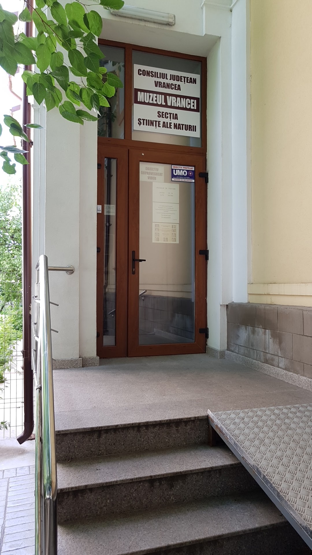 Museo Nazionale delle Scienze Naturali - foto 3