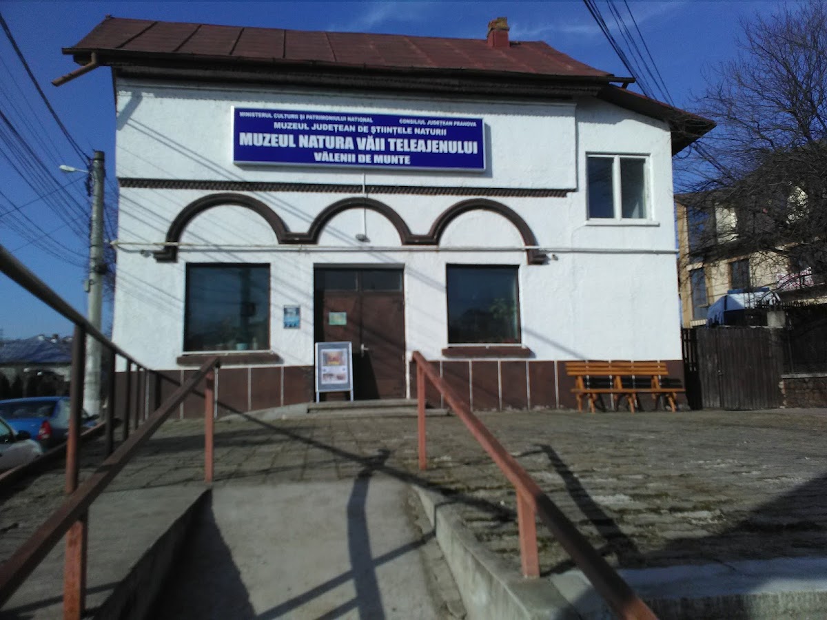 A "Teleajăn-völgy Természete" Múzeum - foto 1