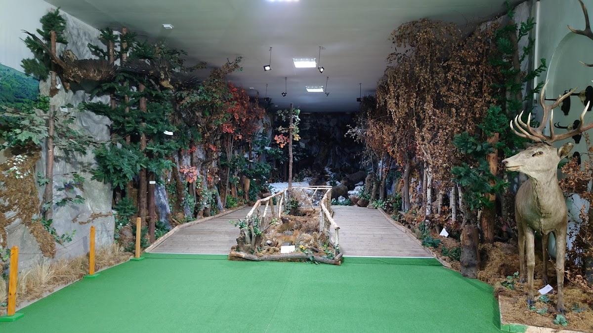 A "Teleajăn-völgy Természete" Múzeum - foto 3