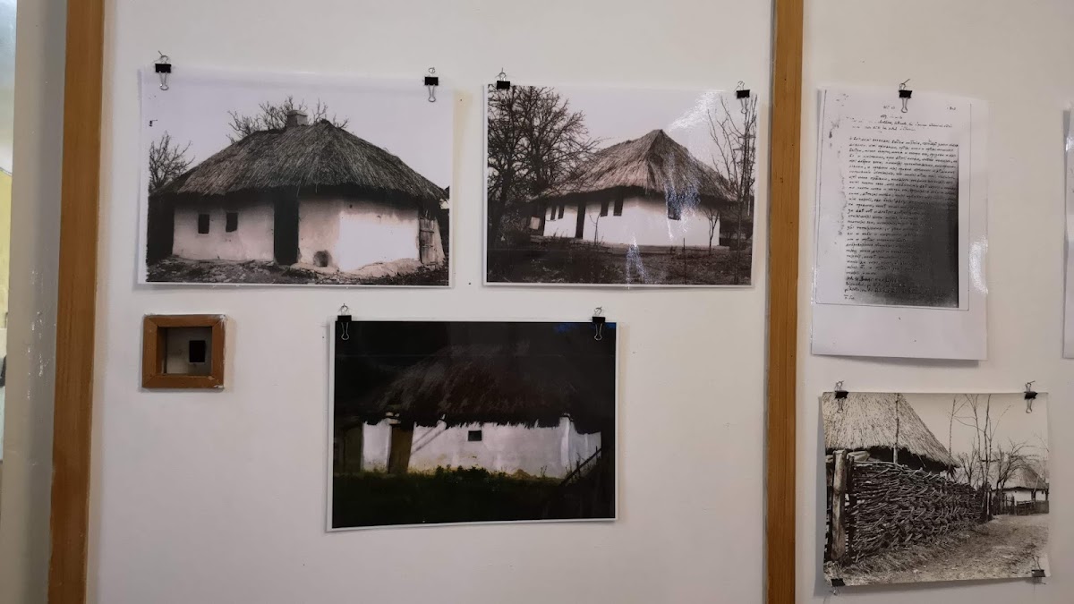 Northern Museum - foto 4