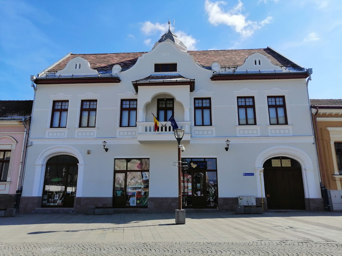 Olt and Mureș Superior Museum